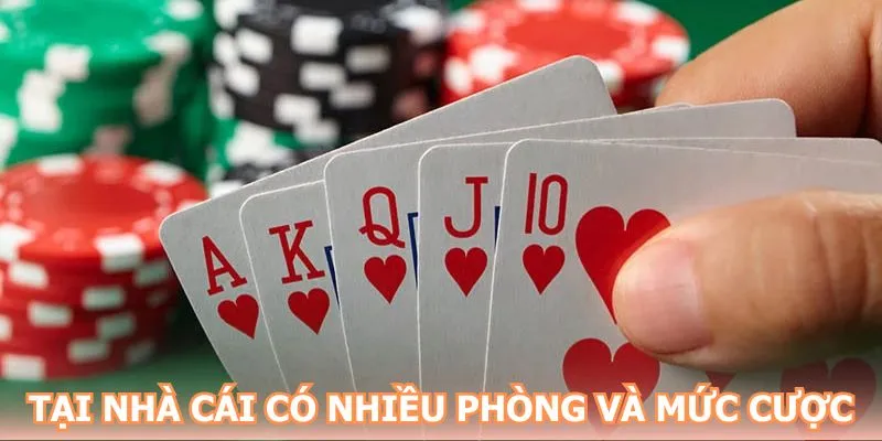 Tại nhà cái có nhiều phòng và mức cược